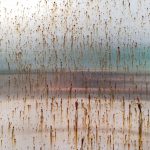 נזקי חומצת מלח