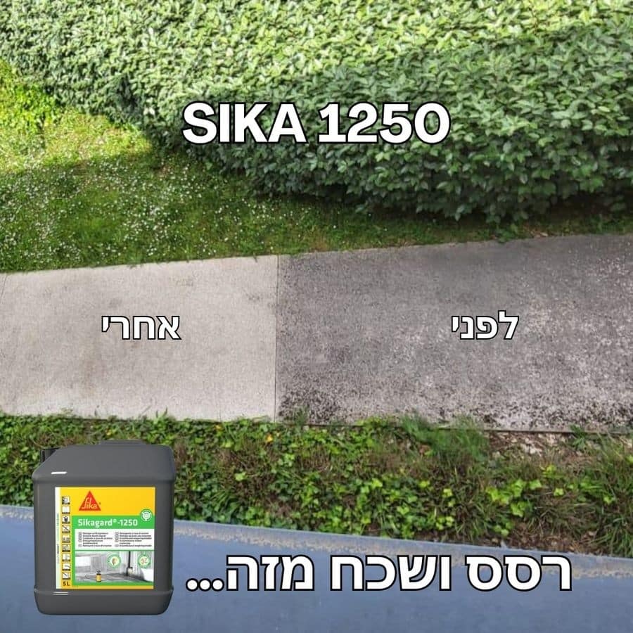 סיקה 1250 סיקה 1250